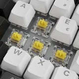 Sharkoon Gaming-tastatur Hvid, FR-layout, Gateron Yellow