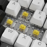 Sharkoon SKILLER SGK50 S3, Gaming-tastatur Hvid, FR-layout, Gateron Yellow