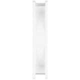 ARCTIC ACFAN00197A, Sag fan Hvid