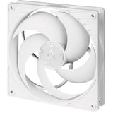 ARCTIC P14 PWM PST Computerkabinet Ventilator 14 cm Hvid, Sag fan Hvid, Ventilator, 14 cm, 200 rpm, 1700 rpm, 0,3 blæser, 123,69 m³/t