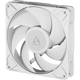 ARCTIC P14 Pro PST Computerkabinet Ventilator 14 cm Hvid 1 stk, Sag fan Hvid, Ventilator, 14 cm, 400 rpm, 2500 rpm, 186 m³/t, Hvid