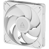 ARCTIC Sag fan Hvid