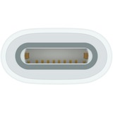 Apple USB-adapter, USB-C-stik > Apple Pencil-stik Hvid