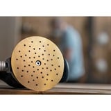 Bosch Expert C470 slibeark, Ø 225mm, K180, Slibning ark 