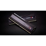 G.Skill F5-6400J3239F48GX2-TZ5RK, Hukommelse Sort