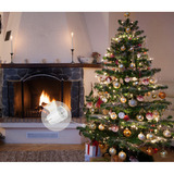 Shelly BUSHWB2, Sæt 