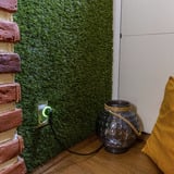 Shelly Julepakke 2, Sæt 