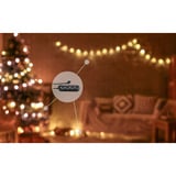 Shelly Julepakke 2, Sæt 