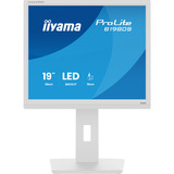 iiyama B1980S-W1, LED-skærm hvid (mat)