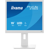 iiyama B1980S-W1, LED-skærm hvid (mat)