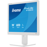iiyama B1980S-W1, LED-skærm hvid (mat)