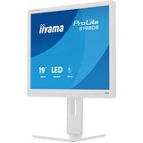iiyama B1980S-W1, LED-skærm hvid (mat)
