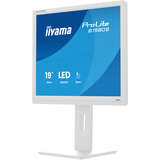 iiyama B1980S-W1, LED-skærm hvid (mat)