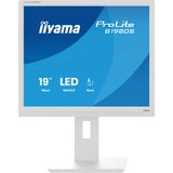 iiyama ProLite B1980S-W1 computerskærm 48,3 cm (19") 1280 x 1024 pixel SVGA LED Hvid, LED-skærm hvid (mat), 48,3 cm (19"), 1280 x 1024 pixel, SVGA, LED, 3 ms, Hvid