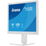 iiyama ProLite B1980S-W1 computerskærm 48,3 cm (19") 1280 x 1024 pixel SVGA LED Hvid, LED-skærm hvid (mat), 48,3 cm (19"), 1280 x 1024 pixel, SVGA, LED, 3 ms, Hvid
