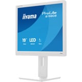 iiyama ProLite B1980S-W1 computerskærm 48,3 cm (19") 1280 x 1024 pixel SVGA LED Hvid, LED-skærm hvid (mat), 48,3 cm (19"), 1280 x 1024 pixel, SVGA, LED, 3 ms, Hvid