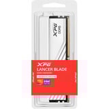 ADATA LANCER BLADE DDR5 hukommelsesmodul 16 GB 1 x 16 GB 288-pin DIMM Fejlkorrigerende kode Hvid, 16 GB, 1 x 16 GB, DDR5, 6000 MHz, 288-pin DIMM