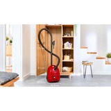 Bosch Serie 4 BGD38RD1H støvsuger 4 L Tromle vakuum Dry 600 W Støvpose, Gulv støvsuger Rød, 600 W, Tromle vakuum, Dry, Støvpose, 4 L, mikro