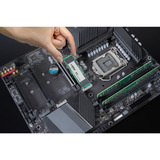 Crucial CT1000E100SSD8, Solid state-drev 