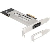 DeLOCK DeLock Udskiftelig ramme PCI Express-kort til 1 x M.2 NVMe SSD, Interface card 