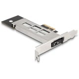 DeLOCK DeLock Udskiftelig ramme PCI Express-kort til 1 x M.2 NVMe SSD, Interface card 