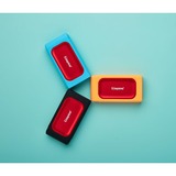 Kingston Etui multi-coloured
