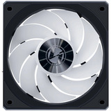 Lian Li 12RCL1W3B, Sag fan Sort