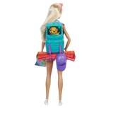 Mattel Dreamhouse Adventures Barbie-dukke og tilbehør Mode dukke, Hunstik, 3 År, Pige, 298 mm, 200 g