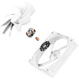 NZXT F120Q, Sag fan Hvid
