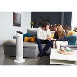 Rowenta Silent Comfort 3-in-1 HQ8120 Indendørs Sølv 2400 W Blæser med elektrisk områdevarmer, Varmeblæser Hvid, Blæser med elektrisk områdevarmer, 1,9 m, IP20, Indendørs, Gulv, Sølv