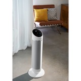 Rowenta Silent Comfort 3-in-1 HQ8120 Indendørs Sølv 2400 W Blæser med elektrisk områdevarmer, Varmeblæser Hvid, Blæser med elektrisk områdevarmer, 1,9 m, IP20, Indendørs, Gulv, Sølv