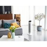 Rowenta Silent Comfort 3-in-1 HQ8120 Indendørs Sølv 2400 W Blæser med elektrisk områdevarmer, Varmeblæser Hvid, Blæser med elektrisk områdevarmer, 1,9 m, IP20, Indendørs, Gulv, Sølv