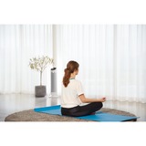 Rowenta Silent Comfort 3-in-1 HQ8120 Indendørs Sølv 2400 W Blæser med elektrisk områdevarmer, Varmeblæser Hvid, Blæser med elektrisk områdevarmer, 1,9 m, IP20, Indendørs, Gulv, Sølv