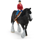 Schleich 42485 legetøjssæt, Spil figur 3 År, Flerfarvet, Plast