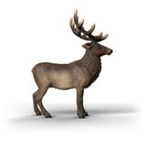 Schleich Wild Life Amerikansk Rødhjort, Spil figur 