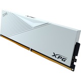 ADATA AX5U6000C3032G-DCLAWH, Hukommelse Hvid