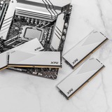ADATA AX5U6000C3032G-DCLAWH, Hukommelse Hvid