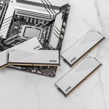 ADATA LANCER hukommelsesmodul 64 GB 2 x 32 GB DDR5 Fejlkorrigerende kode Hvid, 64 GB, 2 x 32 GB, DDR5, 6000 MHz, 288-pin DIMM, Hvid