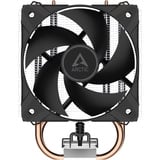 ARCTIC CPU køler 