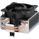 ARCTIC CPU køler 