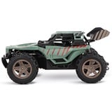 Carrera 370200004, RC 