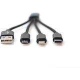 Digitus DB-300160-002-S, Kabel Sort