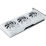 Palit GeForce RTX 5070 OC WHITE, Grafikkort 