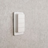 Shelly BLU RC Button 4, Knappen Hvid