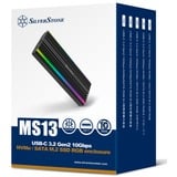 SilverStone SST-MS13, Drev kabinet Sort