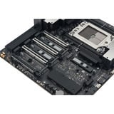 ASUS PRO WS TRX50-SAGE WIFI A AMD TRX50 Socket sTR5 CEB, Bundkort Sort/grå, AMD, Socket sTR5, AMD Ryzen Threadripper 7000 Series, AMD Ryzen Threadripper PRO 7000 WX-Series, Socket sTR5, DDR5-SDRAM, DIMM