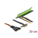 DeLOCK 85762 interface-kort/adapter Intern PCIe, Riser kort PCIe, PCIe, Sort, Grøn, 0,3 m, 1 stk