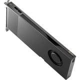 PNY NVIDIA RTX PRO 4000 Blackwell 24GB PB, Grafikkort Detail