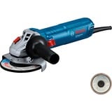 Bosch GWS 12-125 Professional, 06013A6104, Vinkelsliber Blå