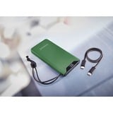 Intenso Powerbank F10000 Green, Power Bank Grøn